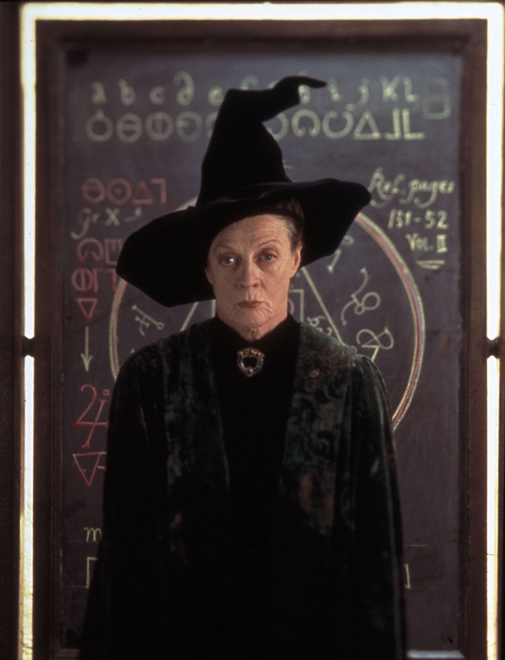 a woman in a witch hat stands in front of a blackboard that says ref pages