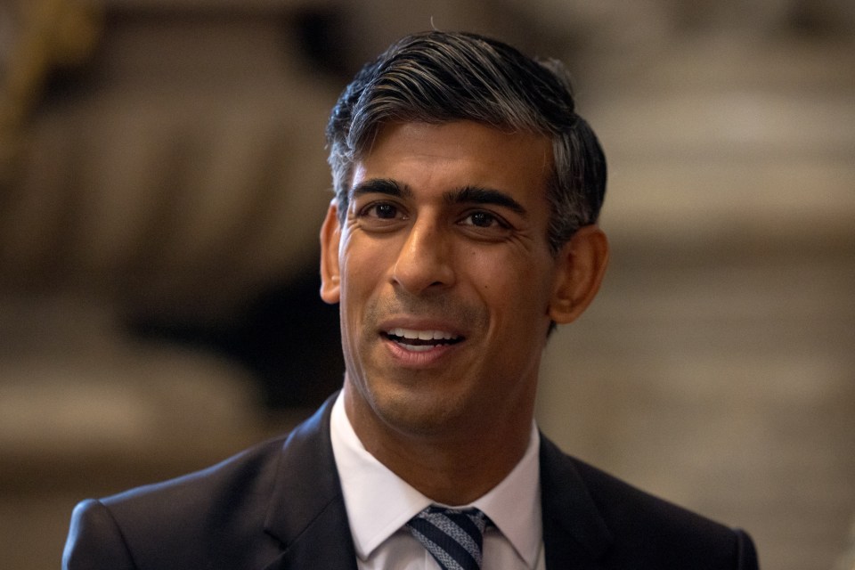 Rishi Sunak has appealed for the Tories to stop infighting - as it'll cost them a return to No10