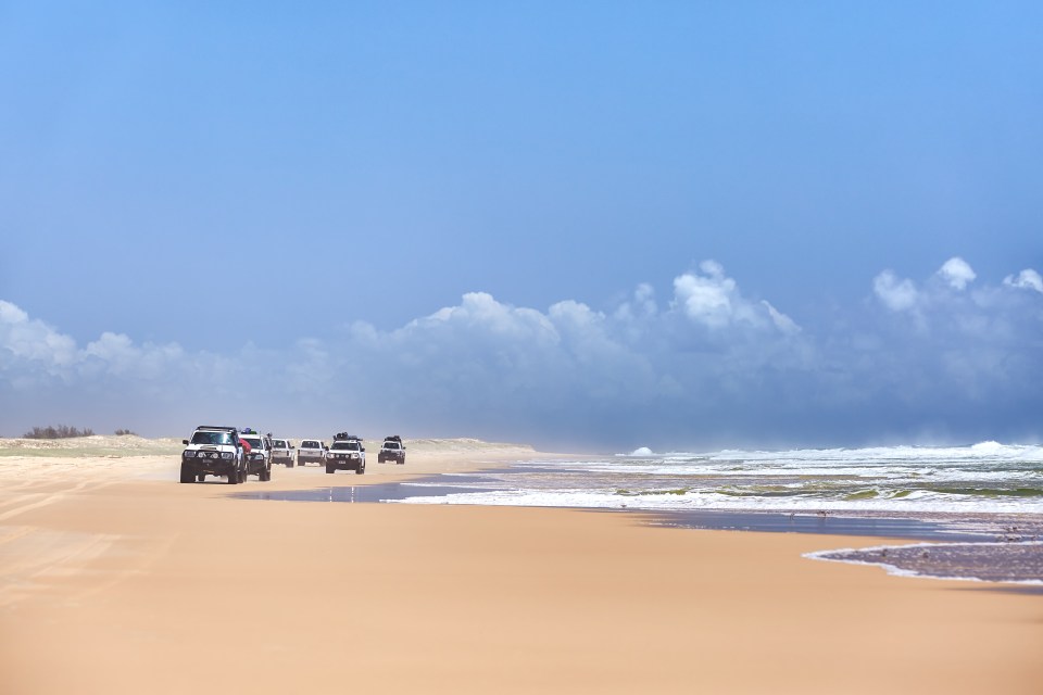 a group of cars are driving down a sandy beach