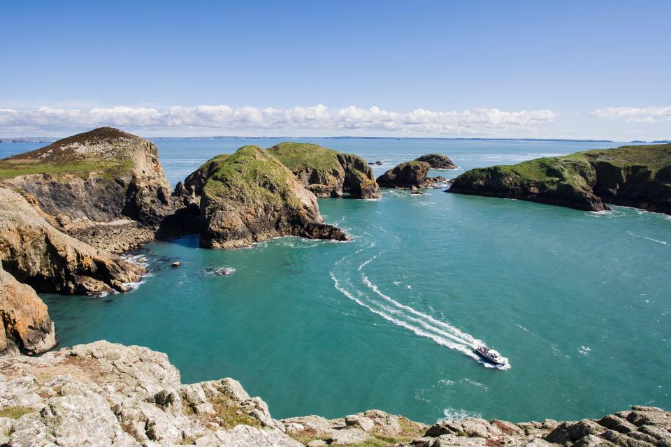 Tours around Ramsey Island last just one hour