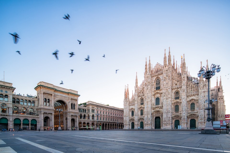 a flock of birds flying in front of a large building