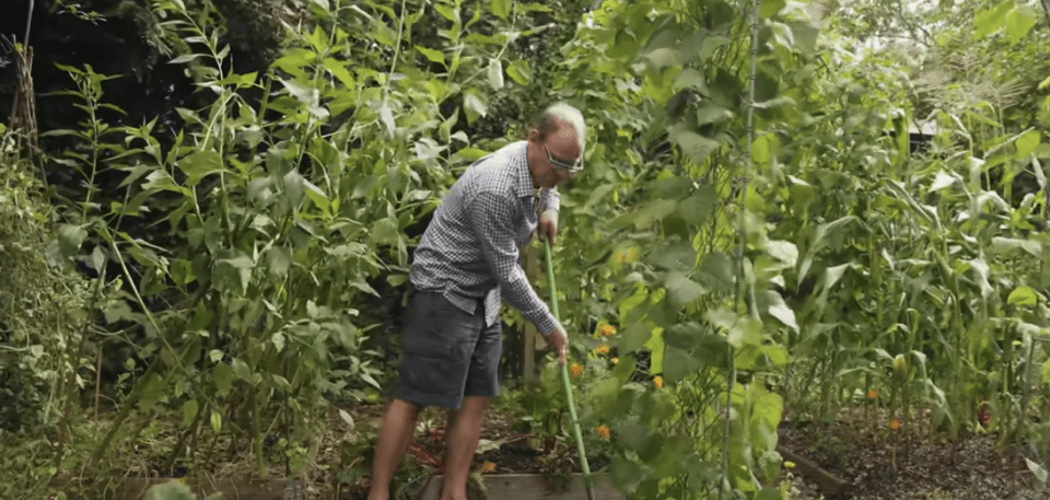 He said that many plants can be harvested in just a few weeks