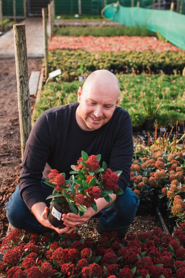 a man in a black shirt is kneeling down holding a potted plant with red flowers