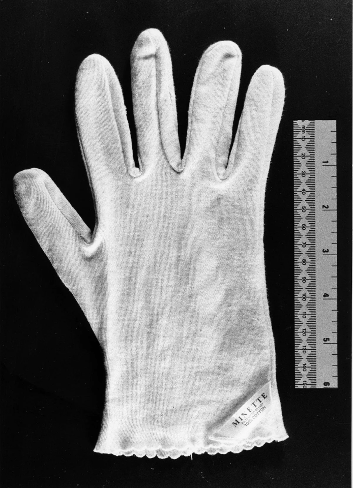 A glove similar to the one found at the murder scene of Veronica Anderson