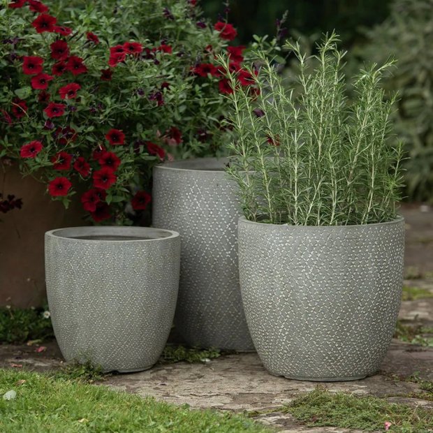 three potted plants are sitting next to each other on a sidewalk