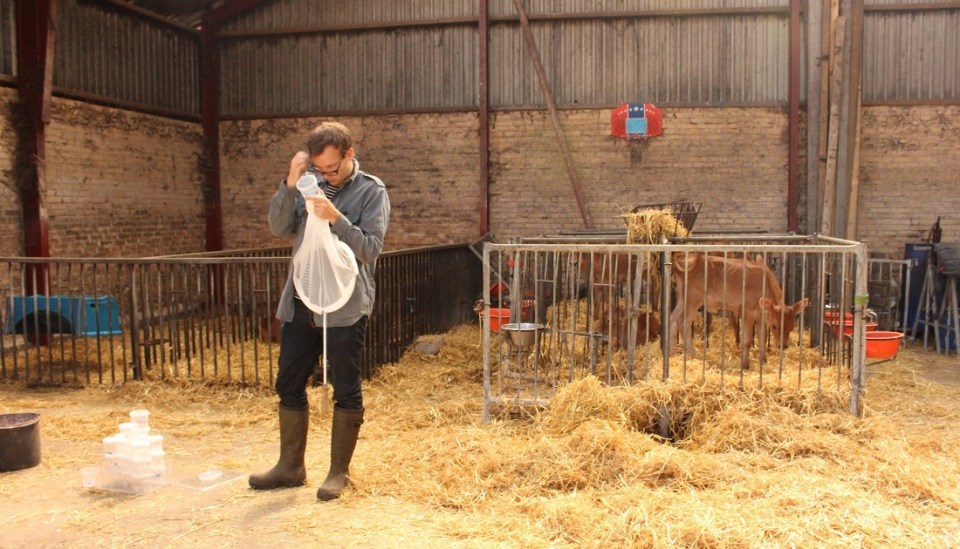 a man is standing in a barn holding a net