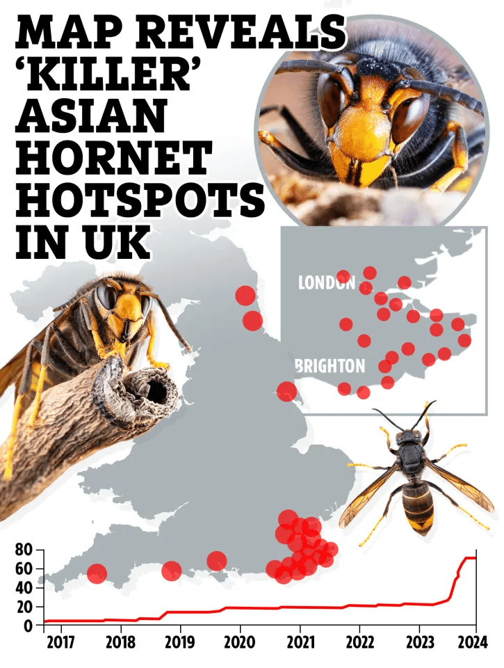 The majority of hotspots can be found in the south