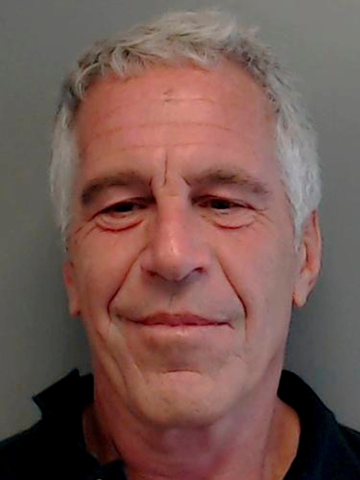 Convicted paedophile billionaire US financier Epstein