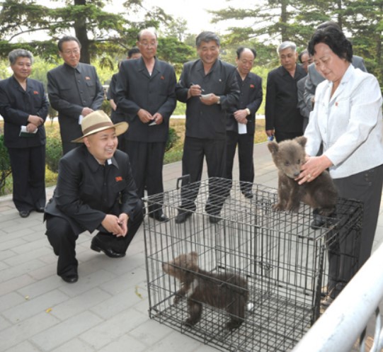 Kim Jong Un looks at bear cubs at the zoo