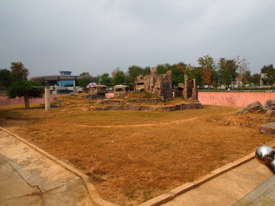 The grass turned yellow due to the dryness of the park