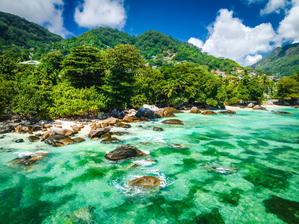 a large body of water surrounded by mountains and trees