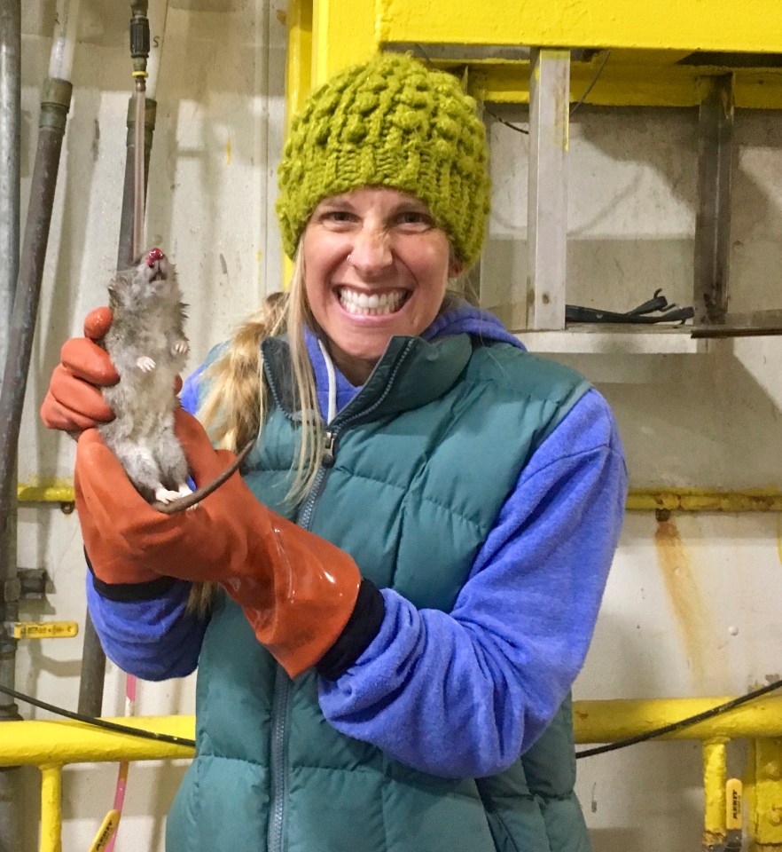 Lauren Divine, director of the Aleut Community of Saint Paul's ecosystem in Alaska, holds the last rat known to have been on Saint Paul Island, after it was found dead in 2019