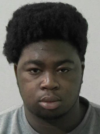 a young man with a big afro is wearing a gray shirt and looking at the camera .