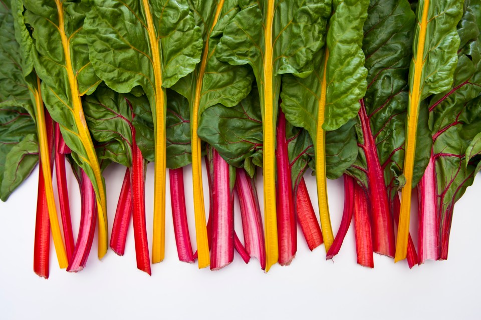 a bunch of green leaves with red and yellow stems