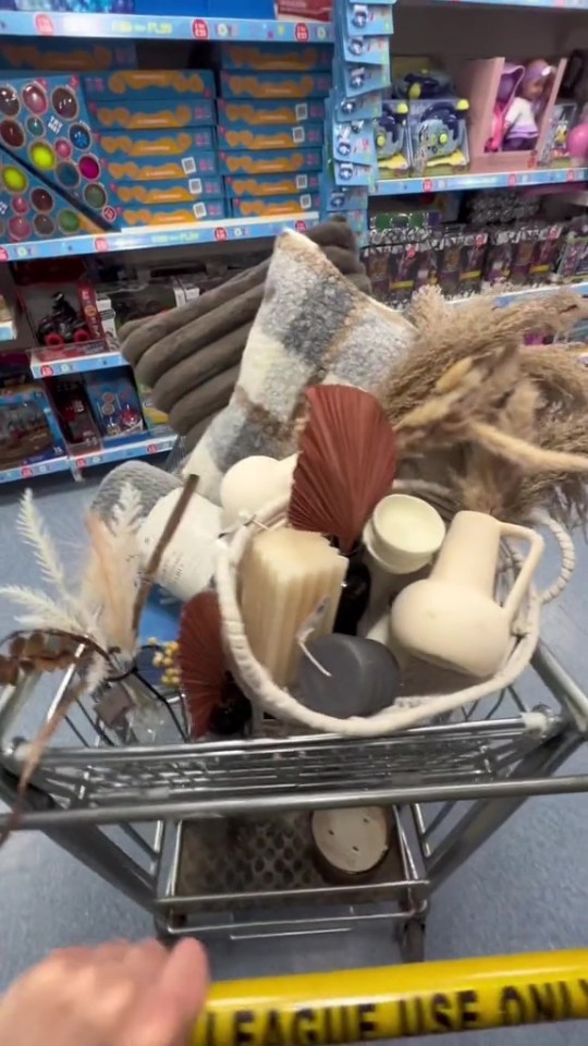 a person is pushing a shopping cart full of decorations in a store .