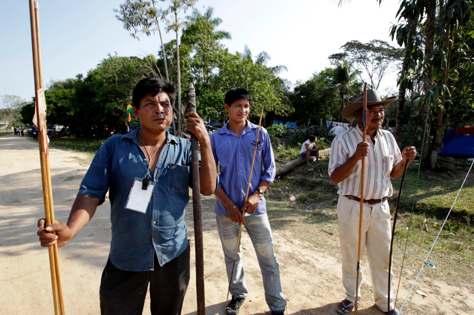 They live within the Amazon Rainforest which spans several South American nations