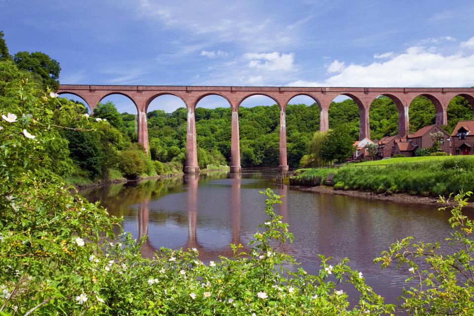 a bridge over a river with flowers in the foreground