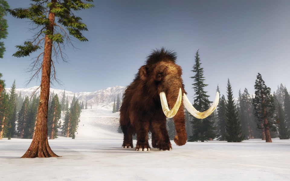 Woolly mammoths became extinct 4,000 years ago