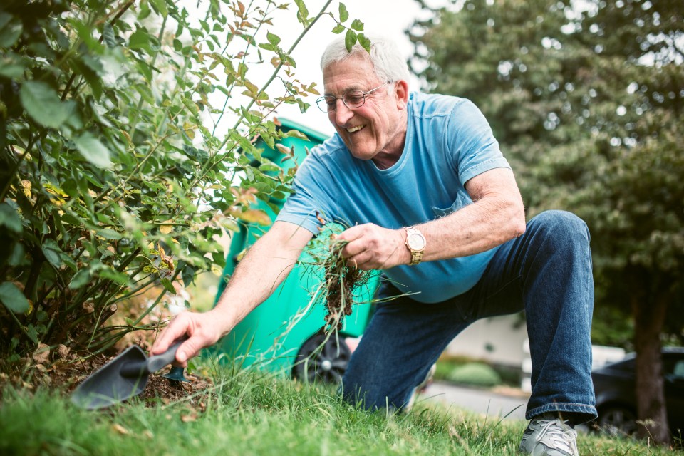 a man in a blue shirt is kneeling in the grass with a shovel