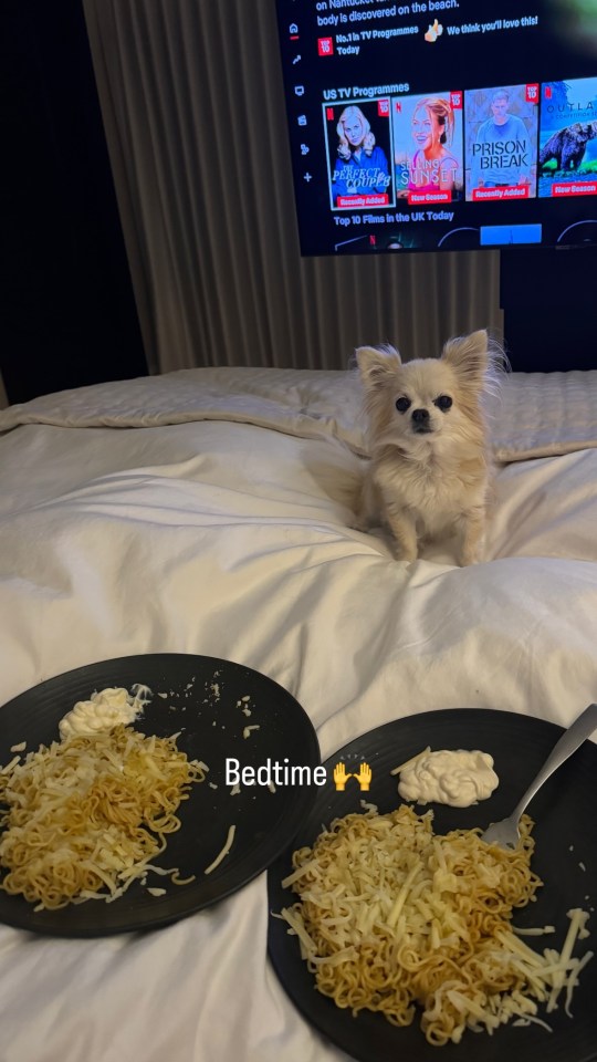 a small dog sits on a bed next to two plates of food with bedtime written on them