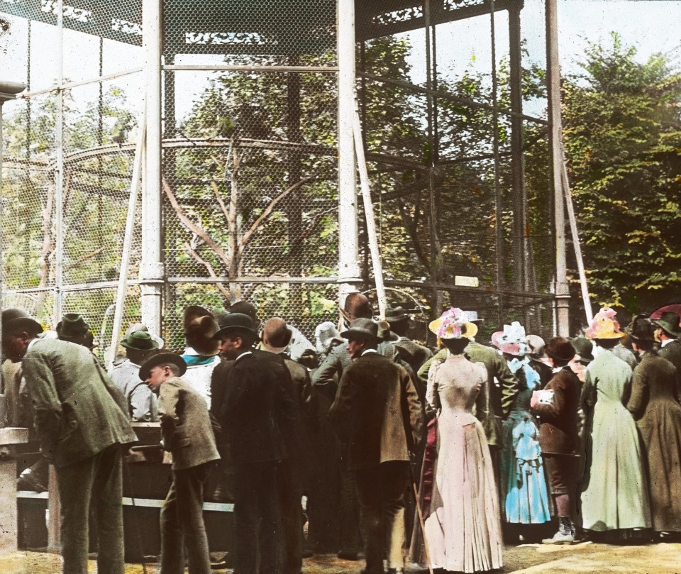 a group of people standing in front of a cage that says ' a ' on it