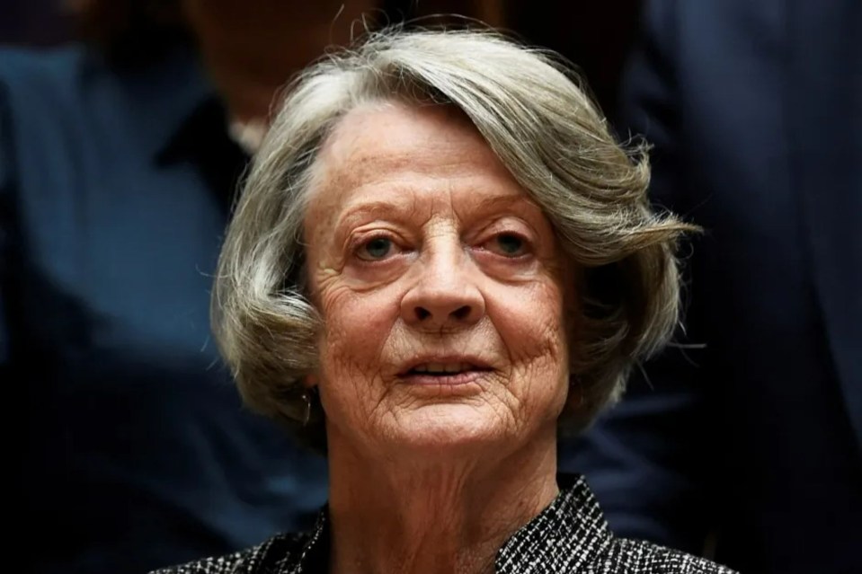 a close up of a woman 's face with gray hair