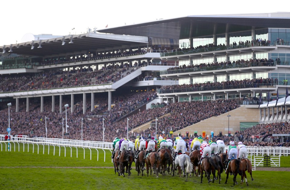 A load of changes to next year's Cheltenham Festival have been brought in to improve the experience for fans and make the racing more competitive