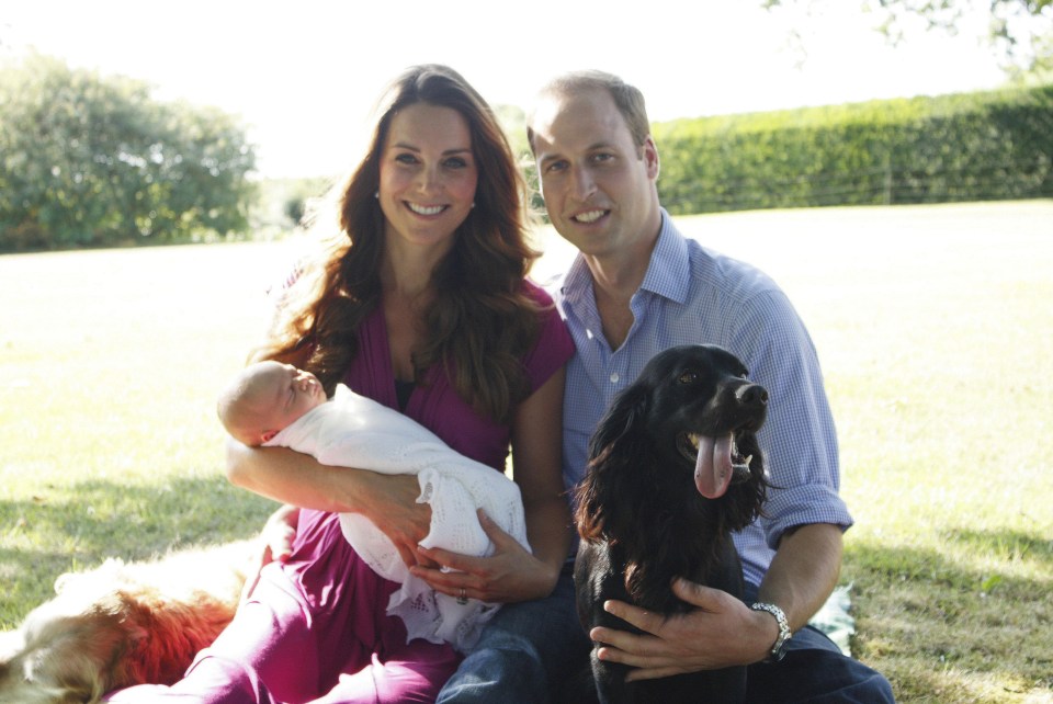 Kate and William with baby George in 2013. Tilly the retriever sleeps behind them as William holds Lupo, the couple's cocker spaniel, in frame