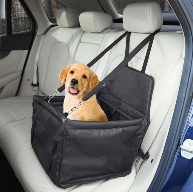 B&M's pet car seat can secure dogs in the back