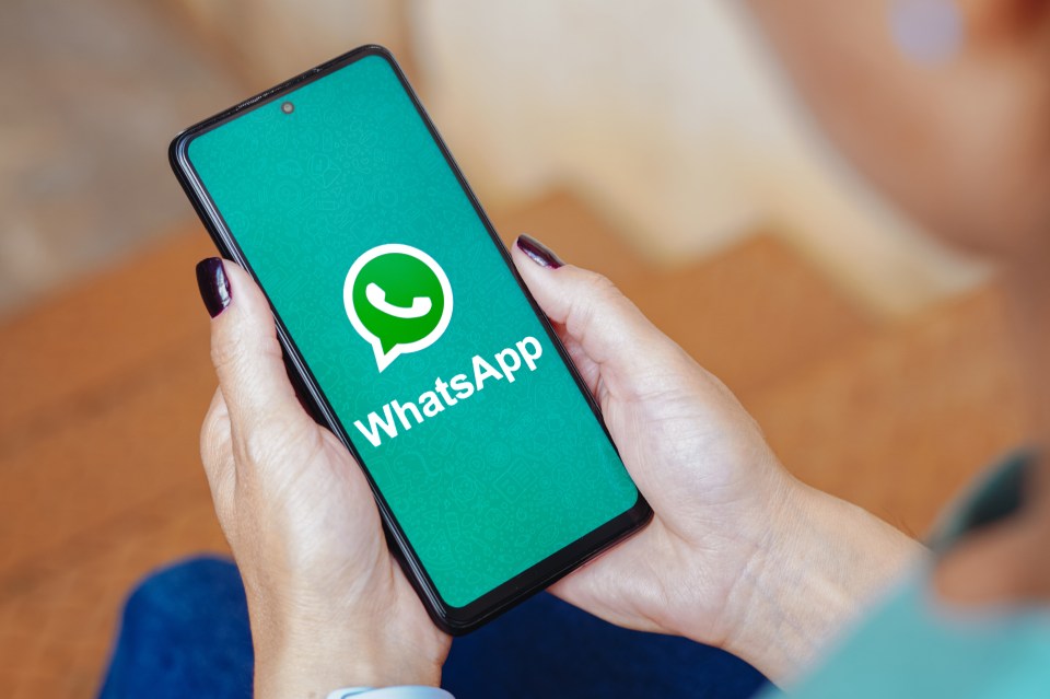 This WhatsApp user could soon send messages to friends who only use Telegram