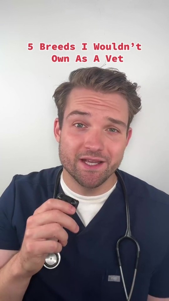 a man with a stethoscope around his neck is talking about 5 breeds he wouldn 't own as a vet