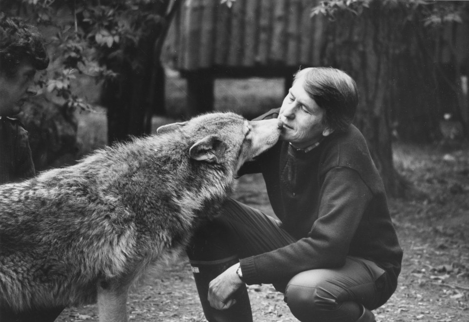 a man kisses a wolf on the nose in a black and white photo