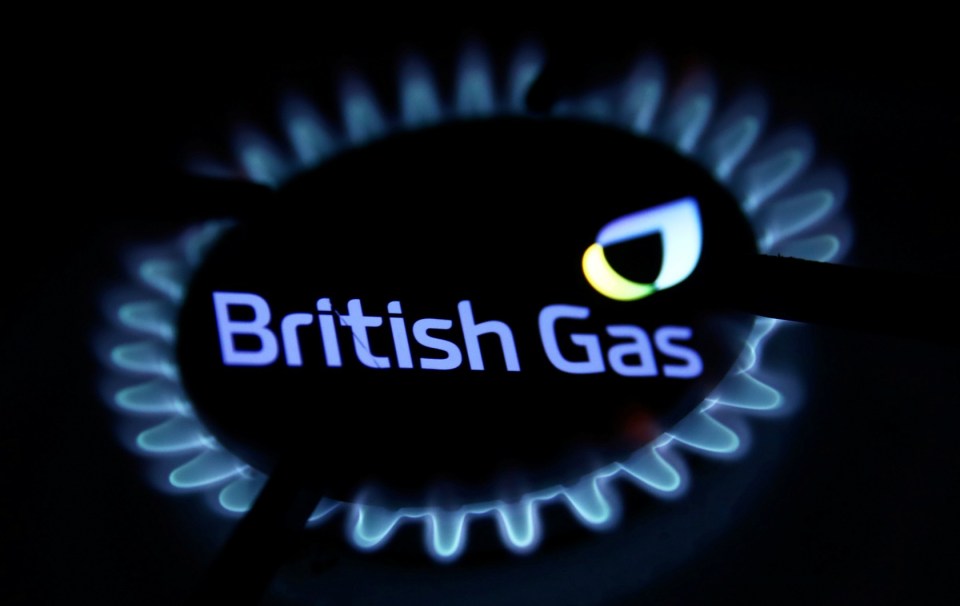 British Gas has reopened its energy support scheme