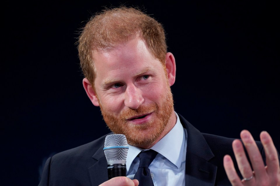 a man with a beard is speaking into a microphone