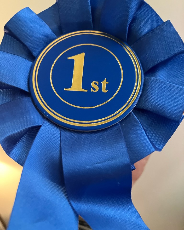 a blue ribbon with the number 1 on it