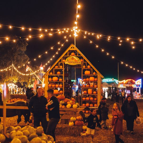 a pumpkin patch is lit up at night