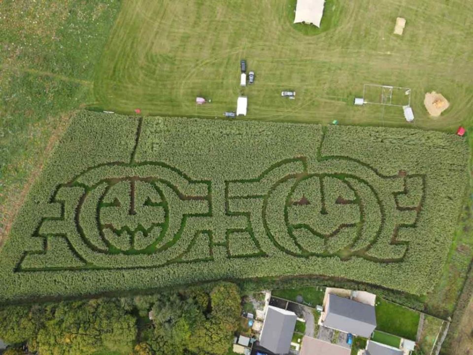 an aerial view of a pumpkin maze in a field