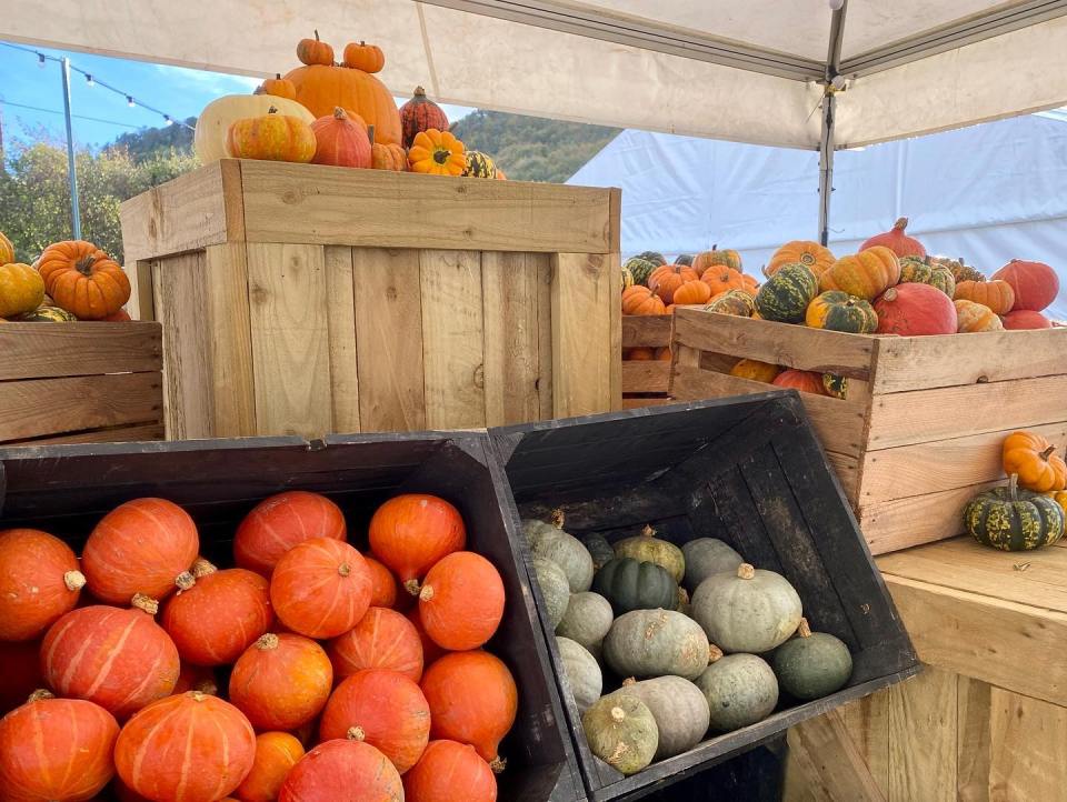 a display of pumpkins and squash in wooden crates