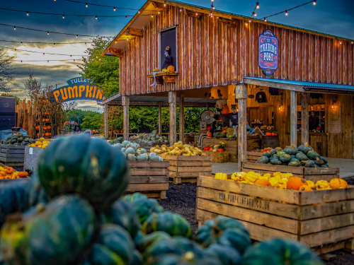 a pumpkin patch with a sign that says pumpkin