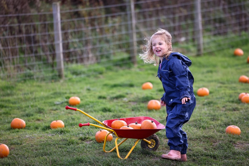 a little girl is pushing a wheelbarrow full of pumpkins