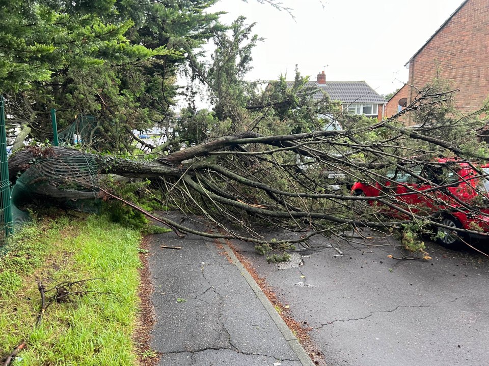 A tree felled by storm winds blocking a road in Sompting, West Sussex