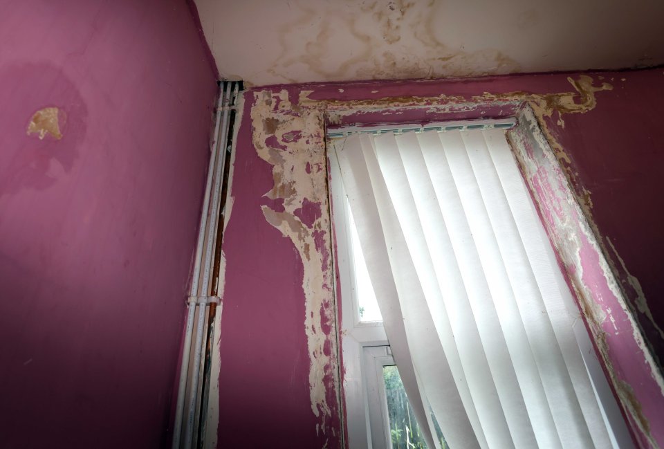 Damp-afflicted walls in Joanne's flat in Redcar and Cleveland