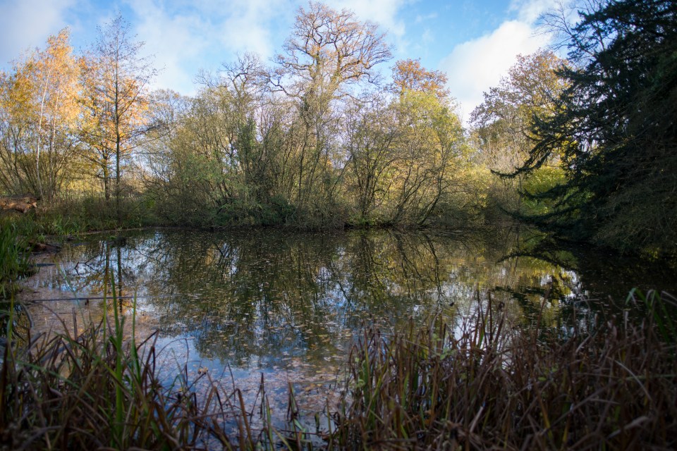 Tourists can enjoy a picnic along the banks of the River Lea