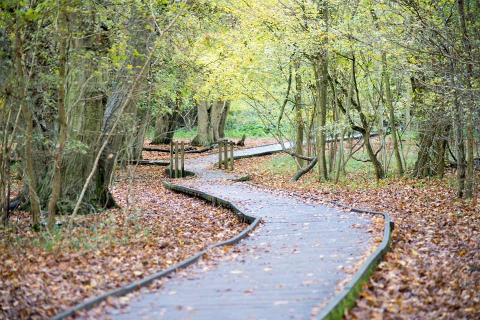 There are plenty of nature walks for visitors to enjoy