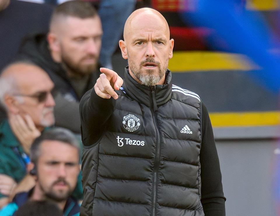 Erik ten Hag could lead Man Utd back into the Champions League this season