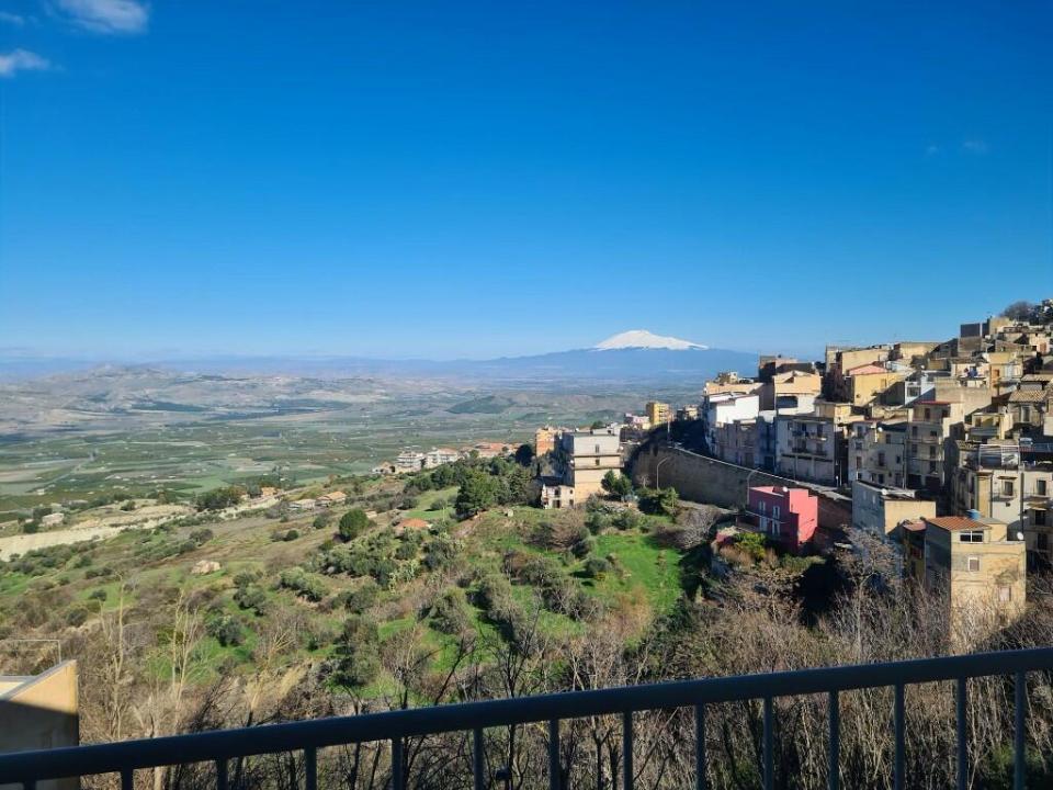 a view of a city with a mountain in the background