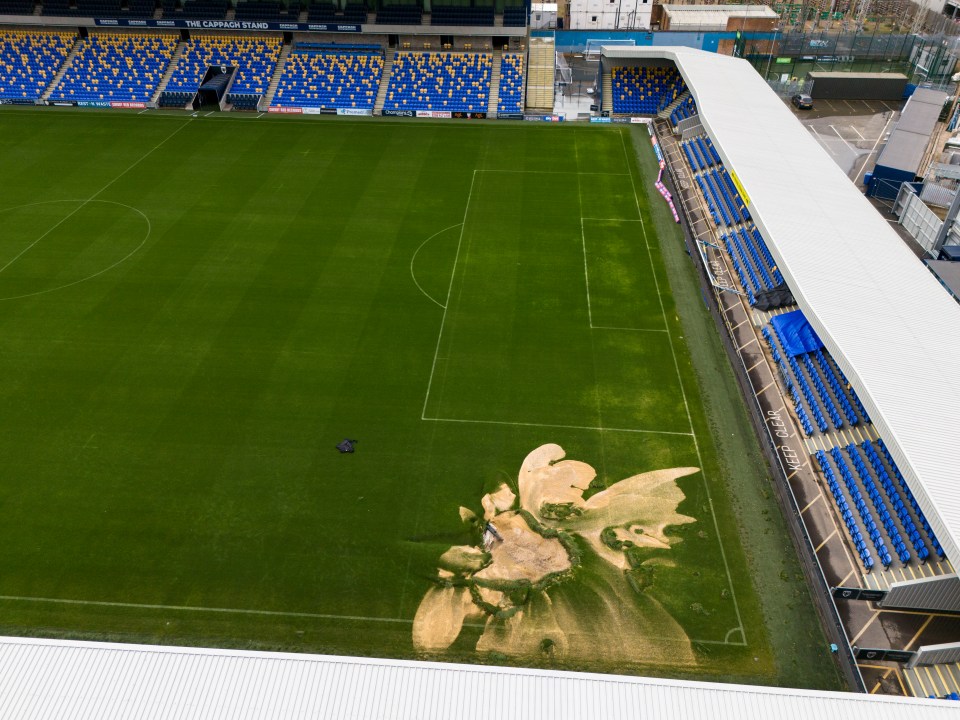 A sinkhole has formed on the pitch at the Cherry Red Records Stadium, home of AFC Wimbledon in south west London