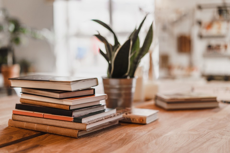 a stack of books sits on a wooden table next to a potted plant