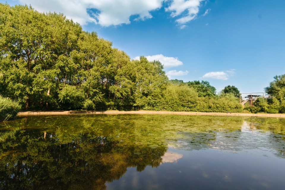 Tourists can rent kayaks and row boats at Stanborough Park