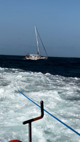 A study to explain the orca attacks has emerged following one off the Spanish coast